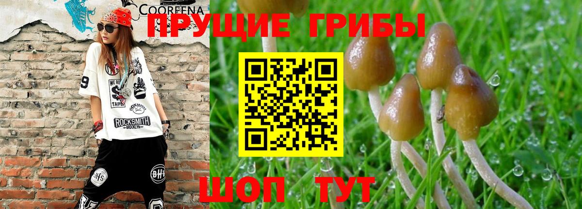 Псилоцибиновые грибы MAGIC MUSHROOMS  Вход с VPN  Морозовск 