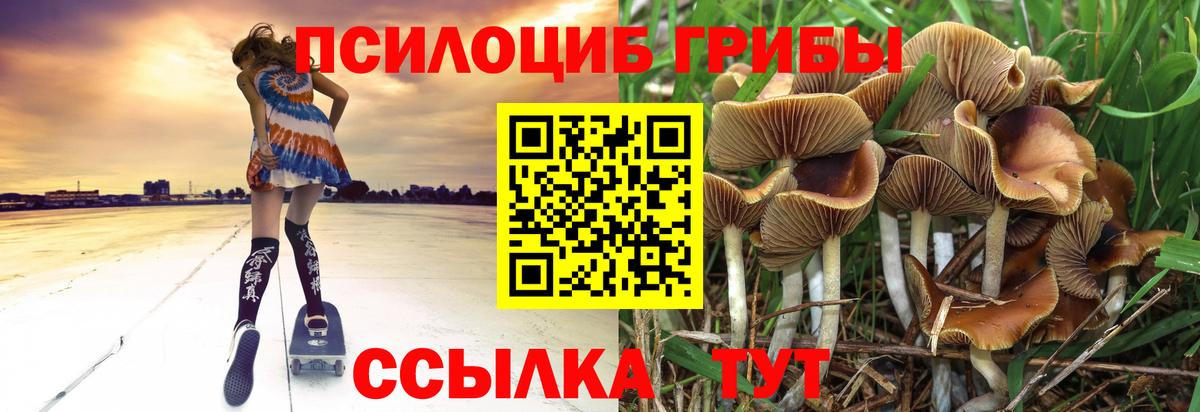 Галлюциногенные грибы Magic Shrooms Морозовск